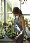 green basics grow tray saucer m living black